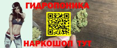 ECSTASY Можга